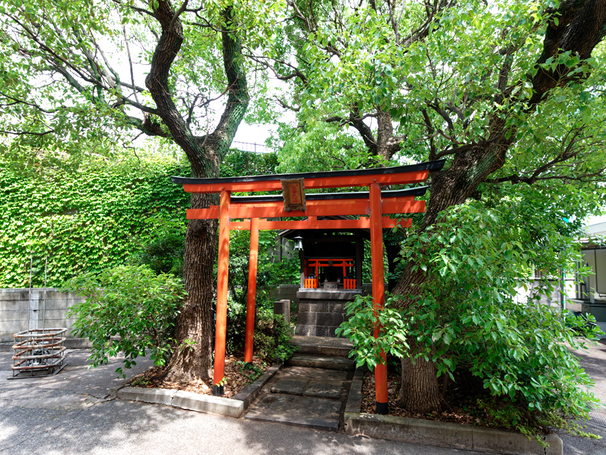 稲荷神社とクスノキ