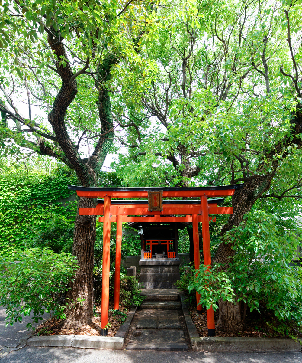 稲荷神社とクスノキ